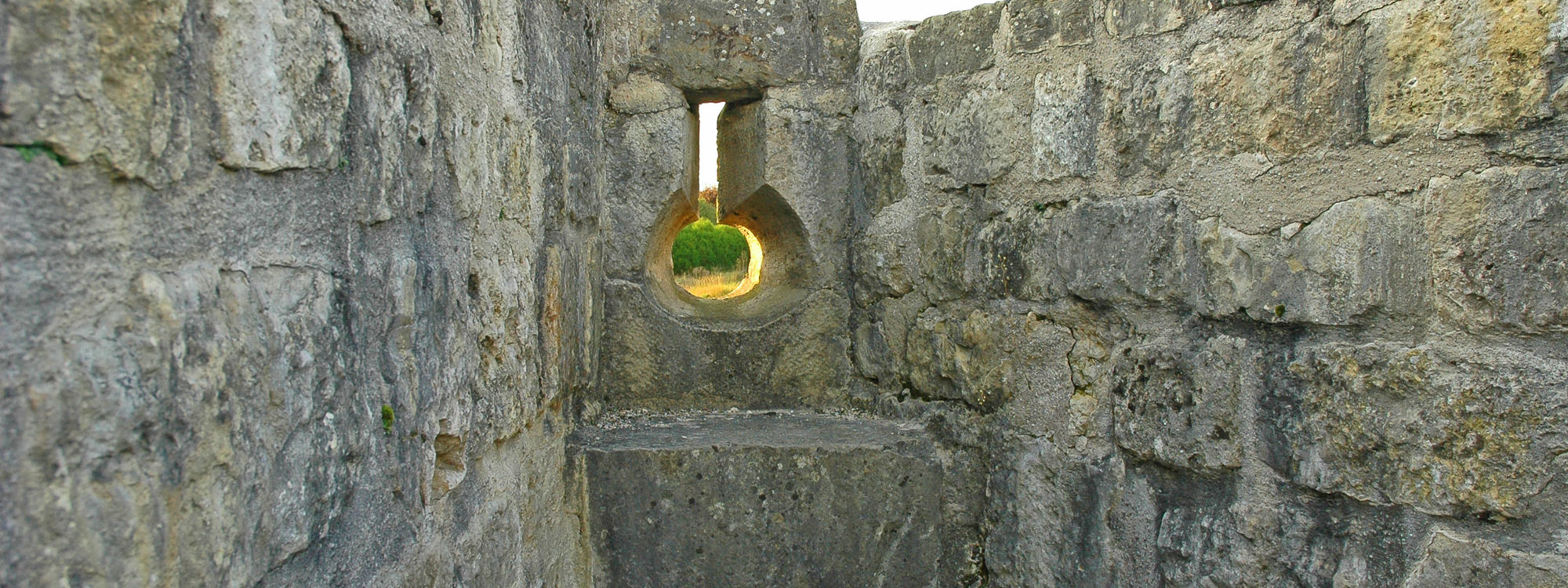 Forteresse châtel sur moselle